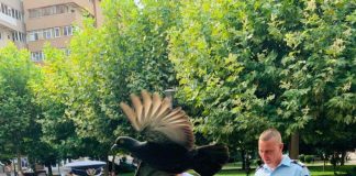 IPJ Gorj avertizează: ,,Şi minorii pot fi amendaţi pentru faptele lor!”