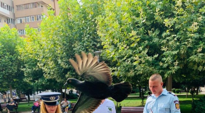 IPJ Gorj avertizează: ,,Şi minorii pot fi amendaţi pentru faptele lor!”