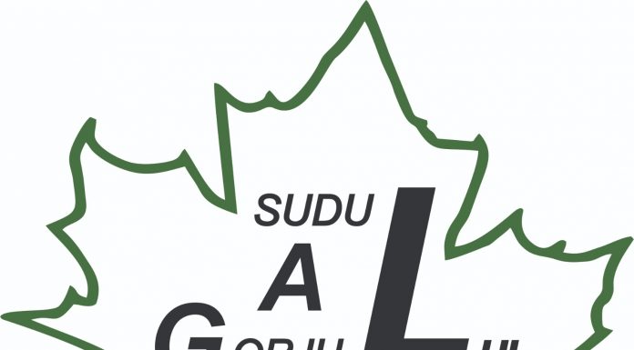 Bilanț pentru GAL Sudul Gorjului!