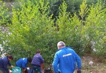 Peste 11.000 de voluntari au curățat ieri județul