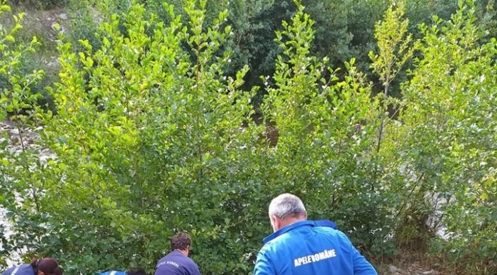 Peste 11.000 de voluntari au curățat ieri județul