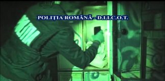 Percheziție în Gorj, într-un dosar cu prejudiciu de 1.000.000 de euro