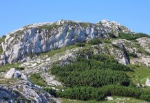 LEGENDELE GORJULUI – Comuna Drăgotești