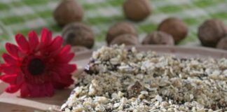 Reţeta săptămânii – Prăjitură cu cacao și fulgi de cereale