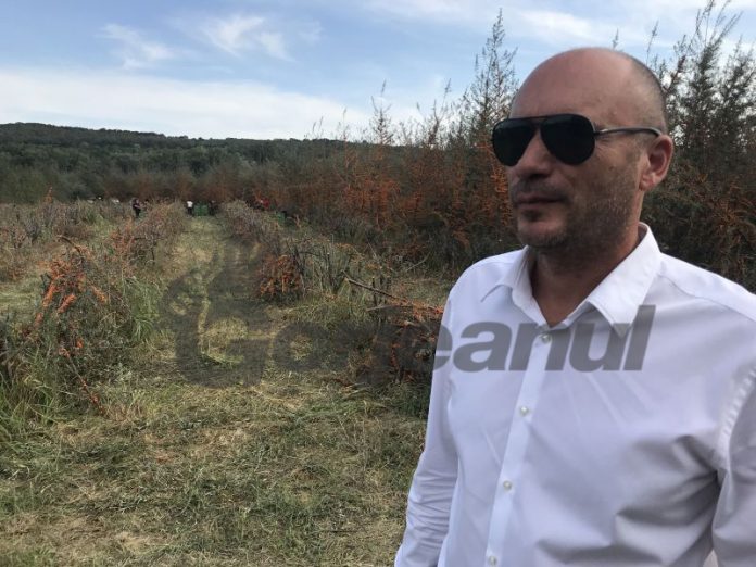 afacerist carbunesti