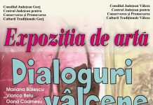 Se deschide expoziția de artă „Dialoguri vâlcene”!