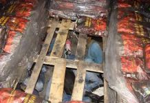 Trei afgani ascunși într-un tir, depistați în curtea unui magazin din Târgu-Jiu