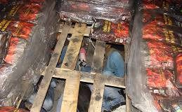 Trei afgani ascunși într-un tir, depistați în curtea unui magazin din Târgu-Jiu