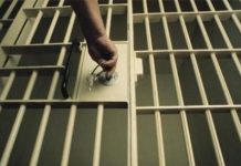 Patru femei din Dolj, în arestul IPJ Gorj