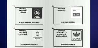 Cum va arăta buletinul de vot la prezidențiale