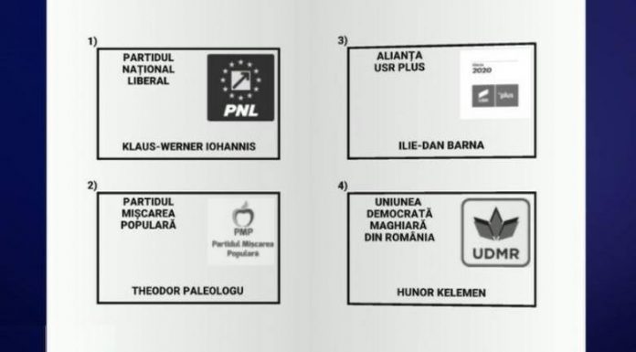 Cum va arăta buletinul de vot la prezidențiale