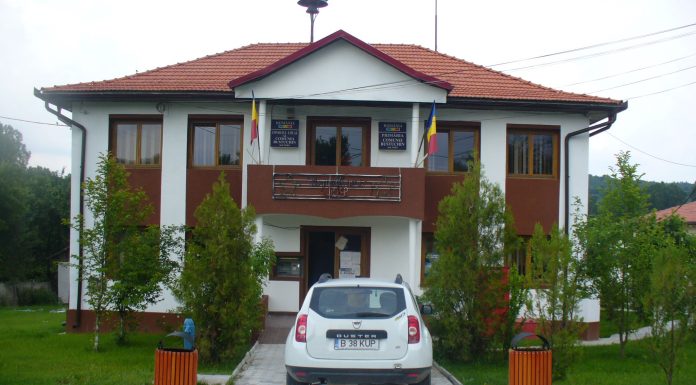 „Acțiune de răzbunare” la Bustuchin. Aleșii PSD, puși în discuția partidului