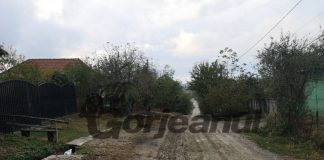 VIDEO: Pe drumul comunal din Câlnic Deal s-a semănat grâu! Artera e impracticabilă, plină cu gropi și mocirlă