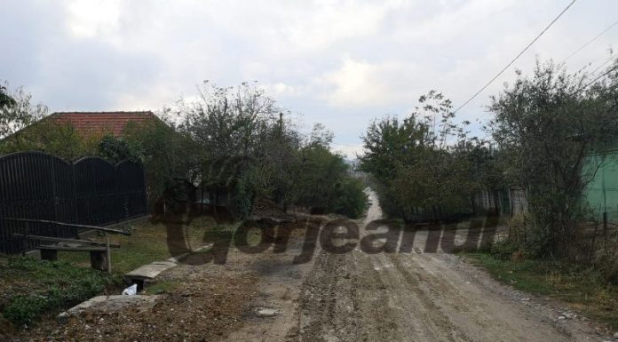 VIDEO: Pe drumul comunal din Câlnic Deal s-a semănat grâu! Artera e impracticabilă, plină cu gropi și mocirlă