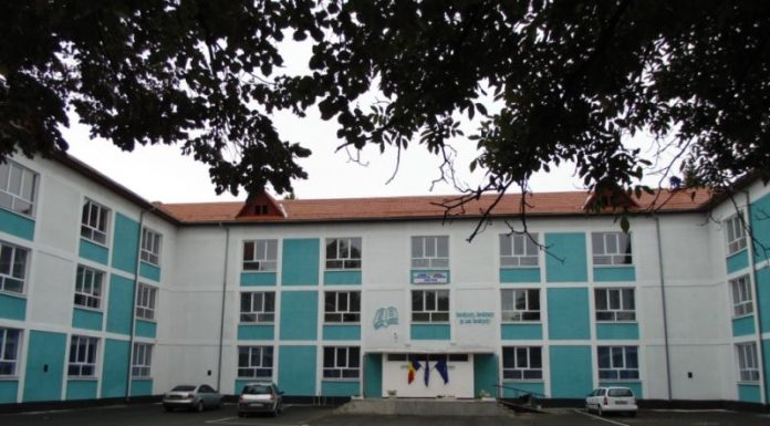 Se caută informatician la Colegiul Tehnic Motru!