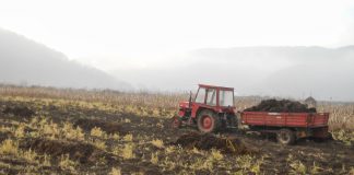 30 noiembrie, termen pentru accesarea banilor europeni în vederea asigurării culturilor