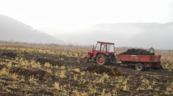 30 noiembrie, termen pentru accesarea banilor europeni în vederea asigurării culturilor