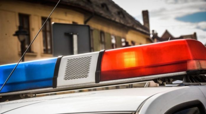 Minoră dispărută din Gorj, găsită la Brașov