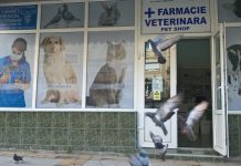 Farmacie veterinară şi alte două unităţi din judeţ, sancţionate de inspectorii sanitar-veterinari