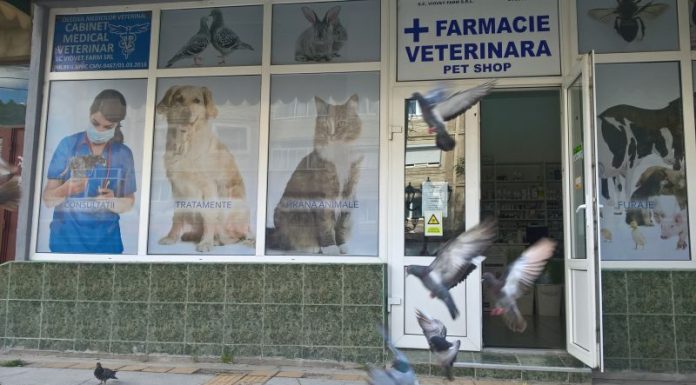 Farmacie veterinară şi alte două unităţi din judeţ, sancţionate de inspectorii sanitar-veterinari