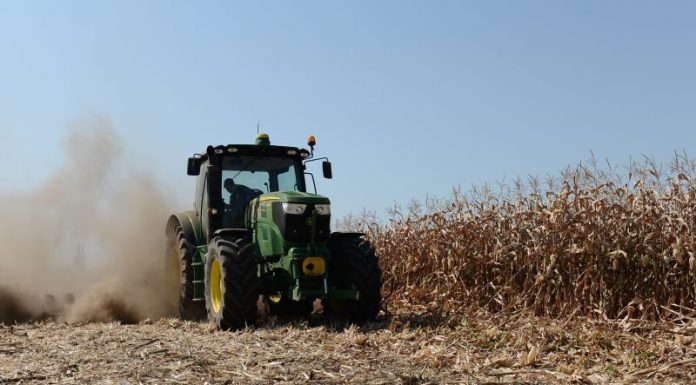 APIA a dat startul plăților în avans pentru 30.000 de fermieri