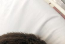 Tânăr lovit în cap de glonț, la doi kilometri distanță de poligonul din Târgu-Cărbunești