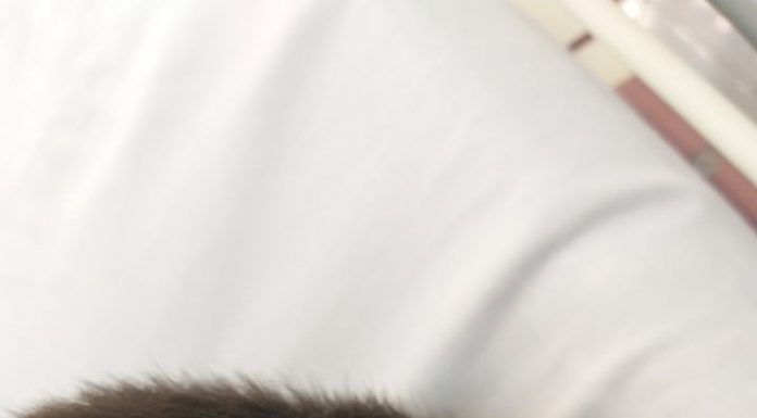 Anunțul medicilor despre starea de sănătate a tânărului lovit în cap de glonț! Tragerile în poligon, sistate