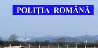 Cherestea în valoare de peste 100.000 de lei, confiscată de polițiști