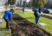 Salarii întârziate la Motru