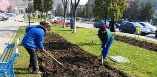 Salarii întârziate la Motru