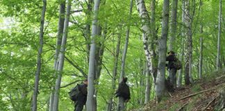 Silvicultorii fac miting în fața Palatului Parlamentului