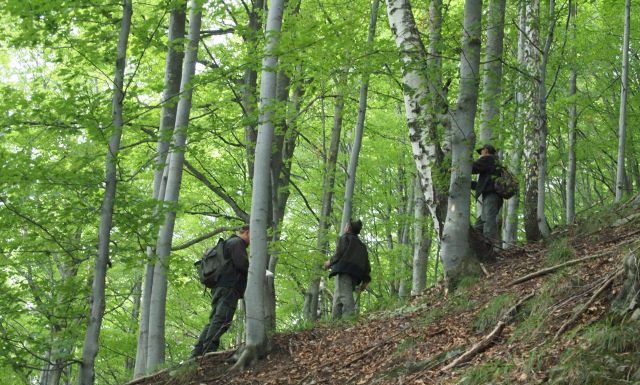 Silvicultorii fac miting în fața Palatului Parlamentului