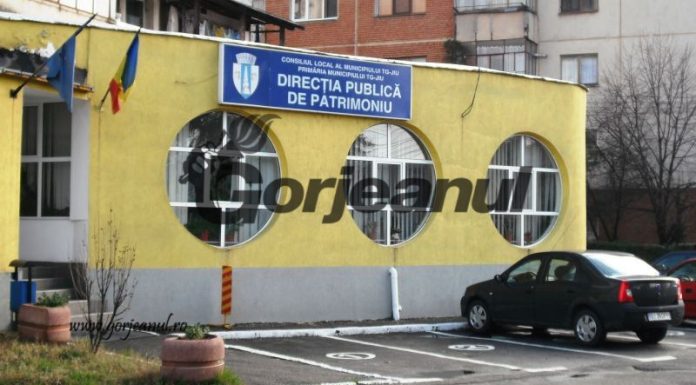 Post vacant de auditor, la Direcţia Publică de Patrimoniu Târgu-Jiu