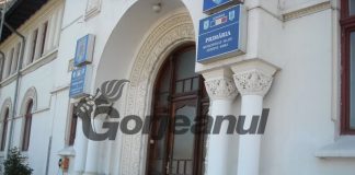 Narcisa Cristea câștigă și ea împotriva lui Romanescu