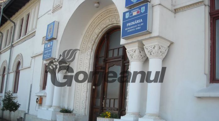 Narcisa Cristea câștigă și ea împotriva lui Romanescu