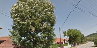 Iluminat public modern, pe bani europeni, într-o comună din Gorj