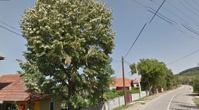 Localitățile din Gorj aflate în scenariul roșu