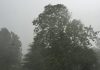 Alertă meteo: Vânt și ploi în toată țară