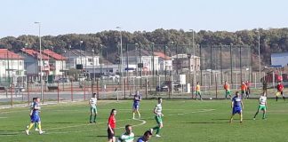 Gilortul a fost zdrobită la Dumbrăvița