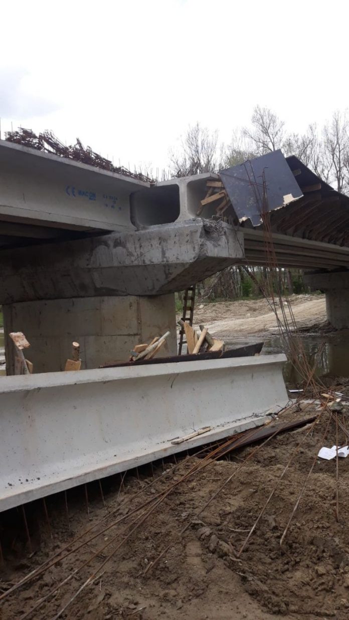 57240547_419980158806190_363034902423142400_n