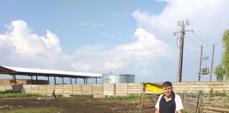 VIDEO: Victima concursului de tracțiune pentru cai de la Drăguțești s-a îndreptat împotriva organizatorilor! Le-a făcut dosar penal pentru vătămare corporală din culpă și abuz în serviciu