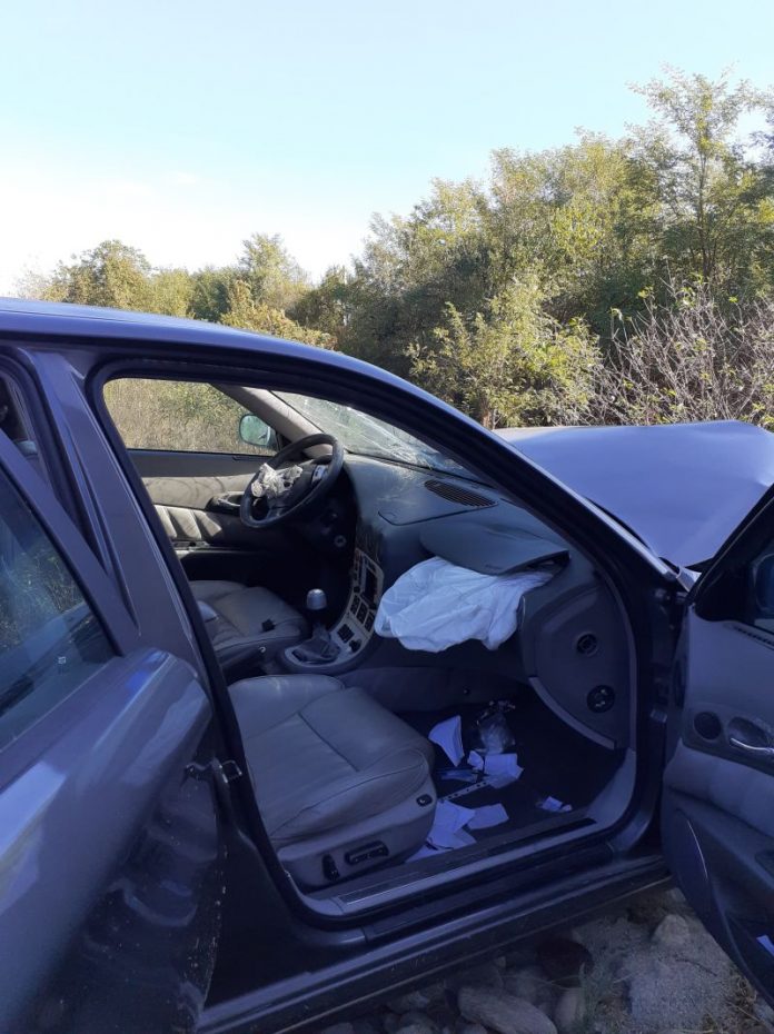 71177515_2714471361942403_6145248312447467520_n