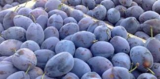 Peste o tonă de legume și fructe, confiscate de polițiști