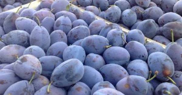 71716645_748573455589808_5728809773780959232_n