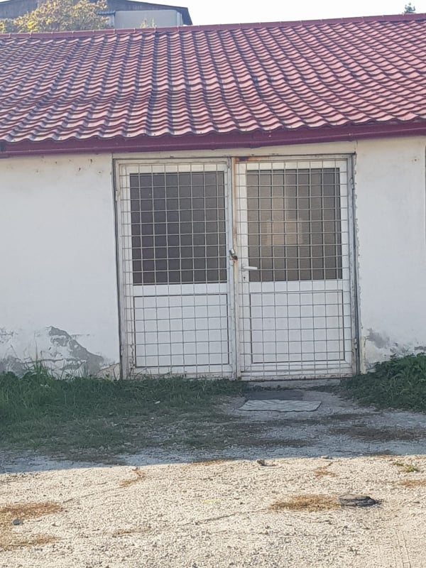 72604101_413865369320279_1504030902051667968_n