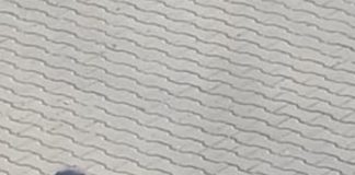 Convins de viceprimar să oprească greva foamei, în a treia zi!