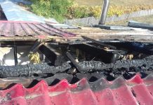 Incendiu izbucnit la acoperișul Căminului Cultural din Polovragi