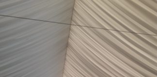 Sindicaliștii CEO, Roșca și Pârvulescu, prezenți la CEx-ul PSD Gorj! Mai mulți șefi de deconcentrate s-au dat răniți, lipsa nu a fost trecută cu vederea