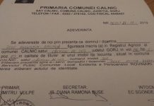 Refuz o lună pentru eliberarea unei cărți de identitate! Se întâmplă la Câlnic