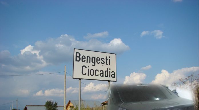 Panică într-o comună din Gorj, după cazul Caracal! Localnicii au sesizat Poliția